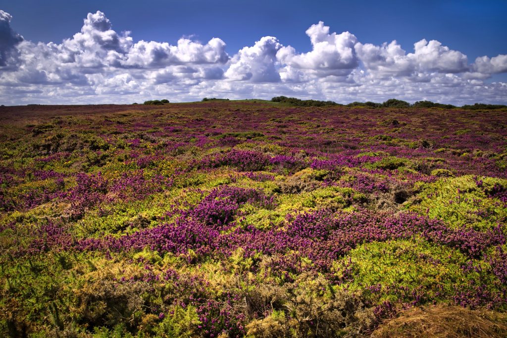 Demenagement-Bretagne-France-Armor