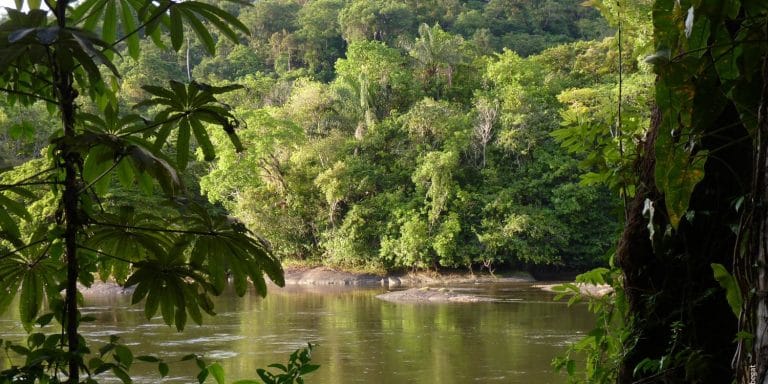 Demenagement-Guyane-France-Armor