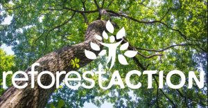 Reforestaction-France-Armor