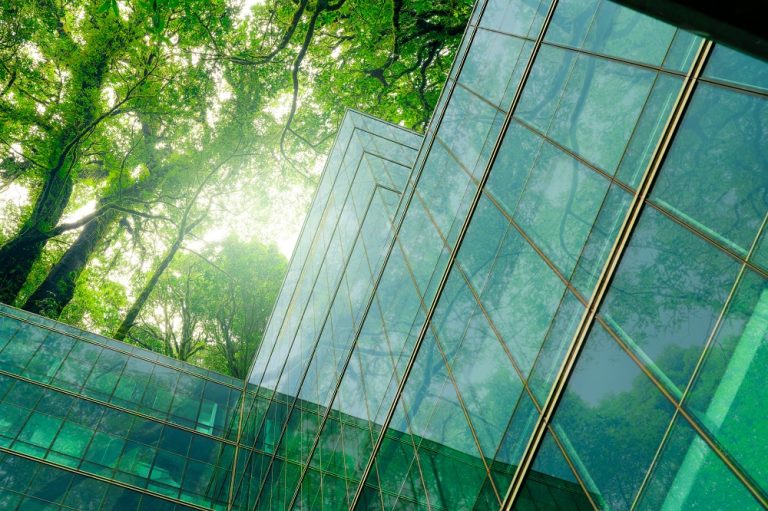 Demenagement entreprise vers un batiment durable