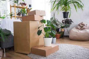 Demenagement-plantes-France-Armor